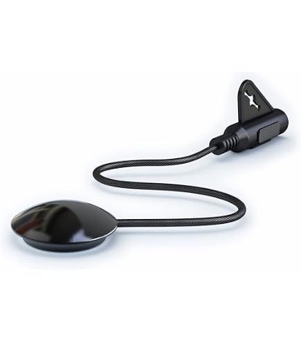 Fishman, Fcl-002 - Pastilla para contrabajo : Amazon.es